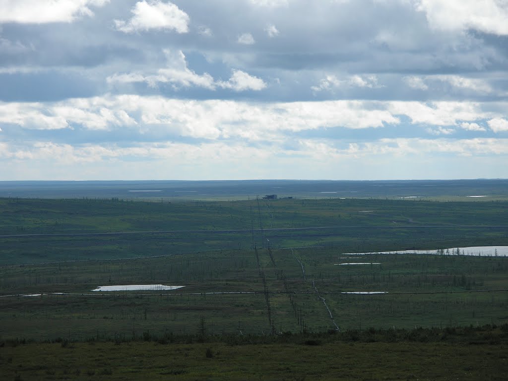Summer tundra in Norilsk